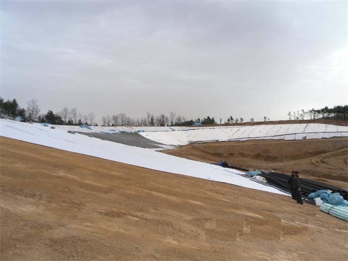 1641781585514980.jpg 1-200Q5160640.jpg