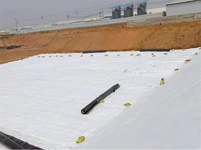 1682576701501462.jpg 微信圖片_20221028152646.jpg