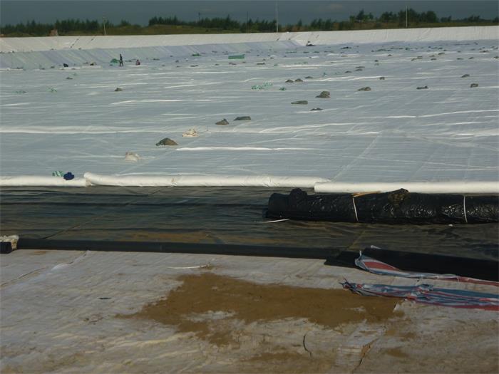 1683248241220023.jpg 1-2004231G346.jpg