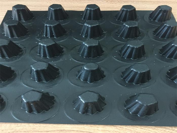 1688000541898661.jpg 微信圖片_20200327153818_看圖王.jpg