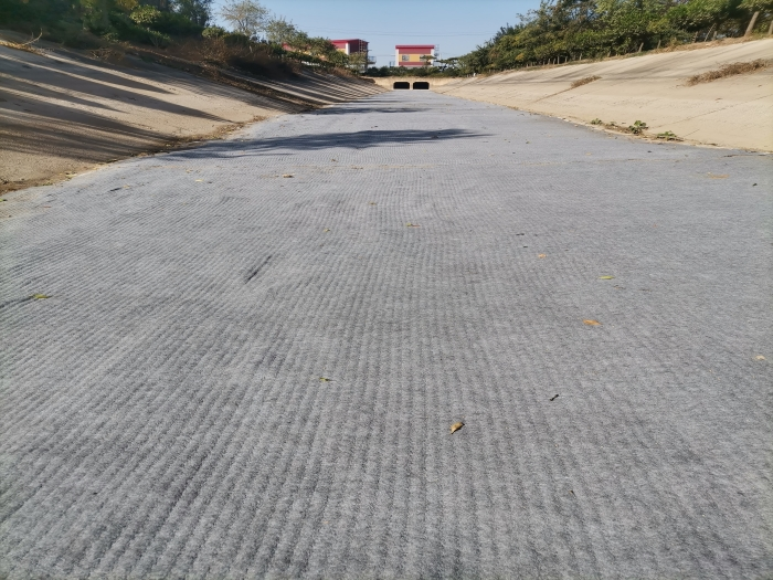 1701154482895741.png B2.png